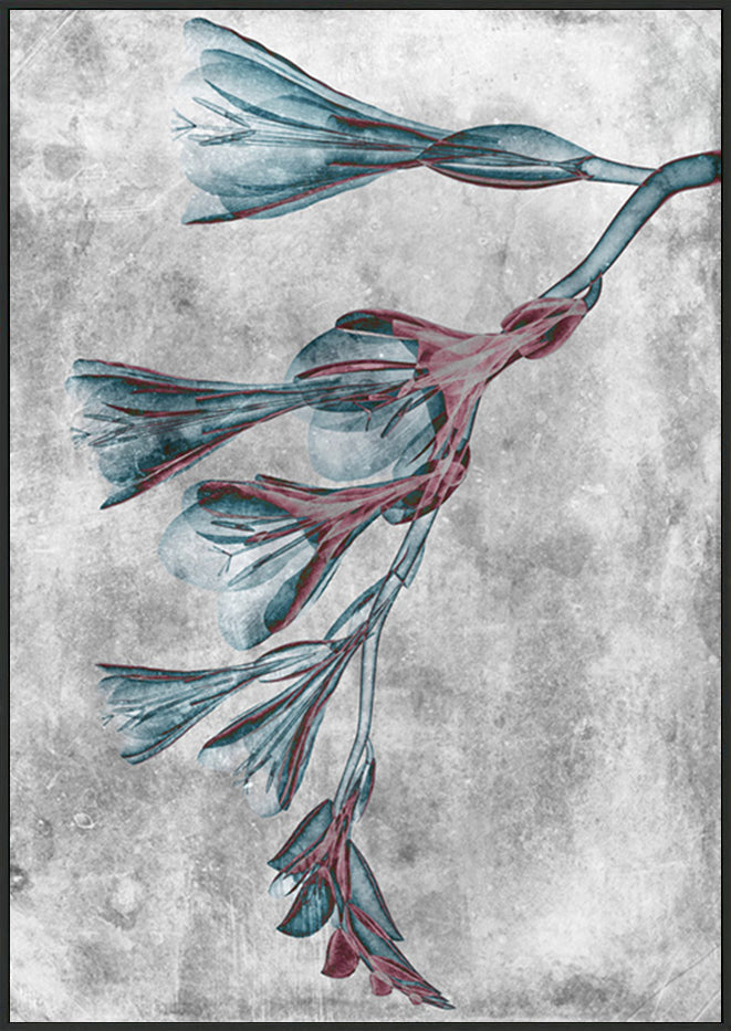 canvas_frame