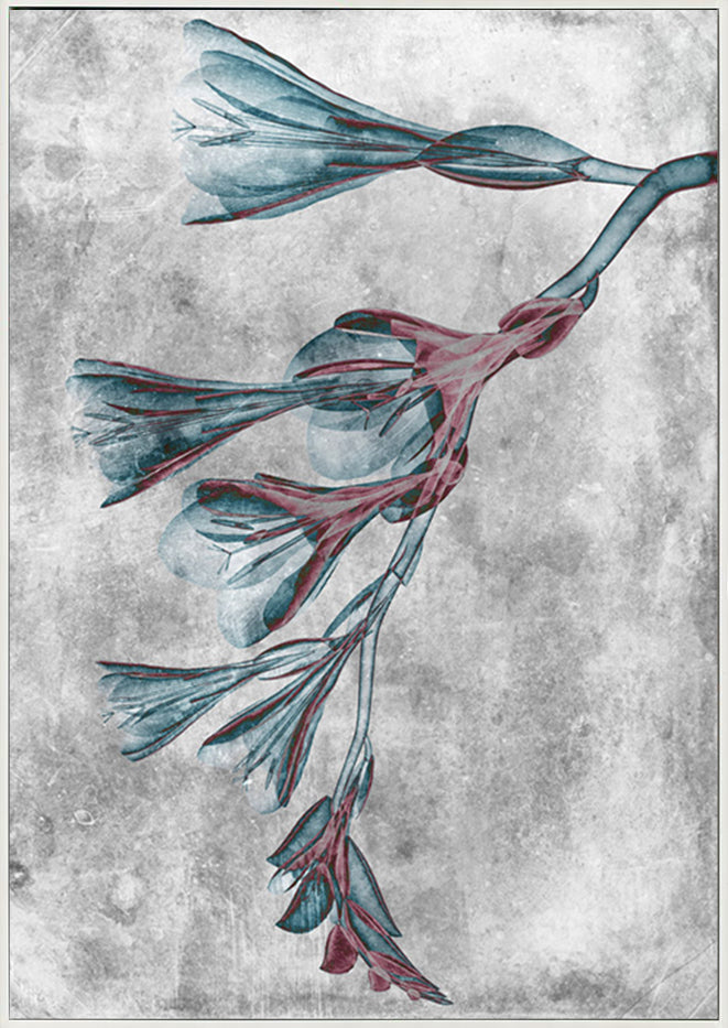 canvas_frame