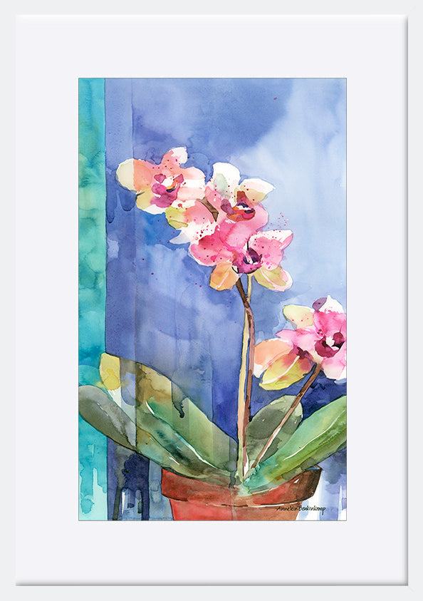 paper_frame