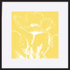 paper_frame