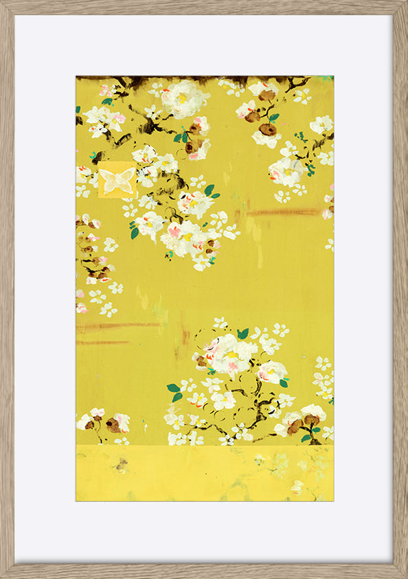 paper_frame